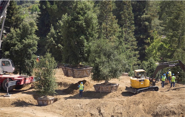 apple-campus-2-interior-3