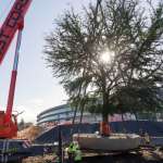 apple-campus-2-interior-7