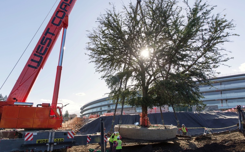 apple-campus-2-interior-7