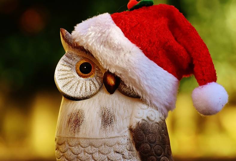 christmas-owl-wallpaper