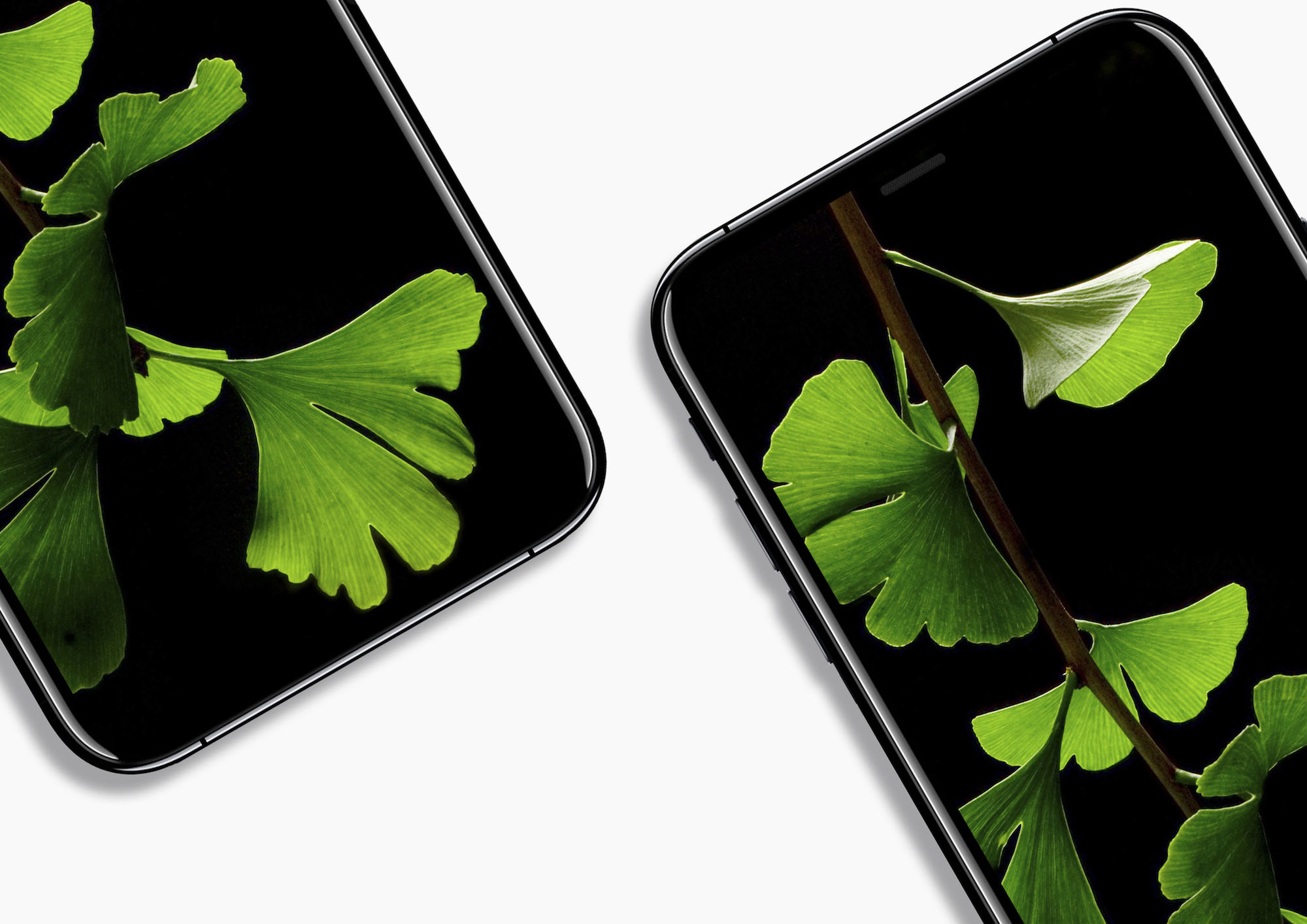 iPhone 8 concept schite reale 5