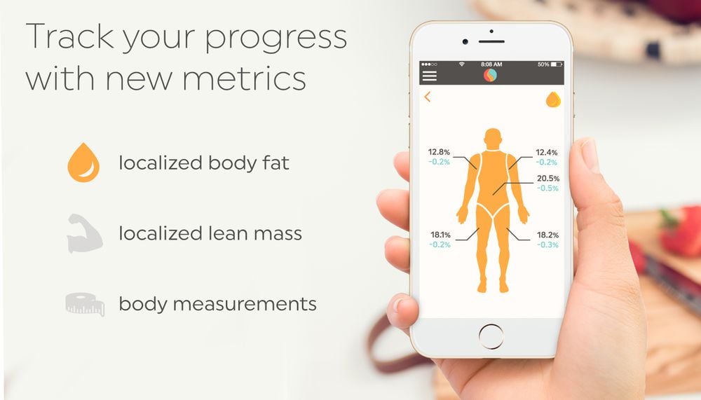 ShapeScale application