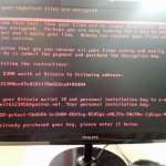 Petya ransomware angreb