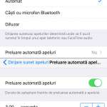 iOS 11 raspuns automat apeluri iPhone