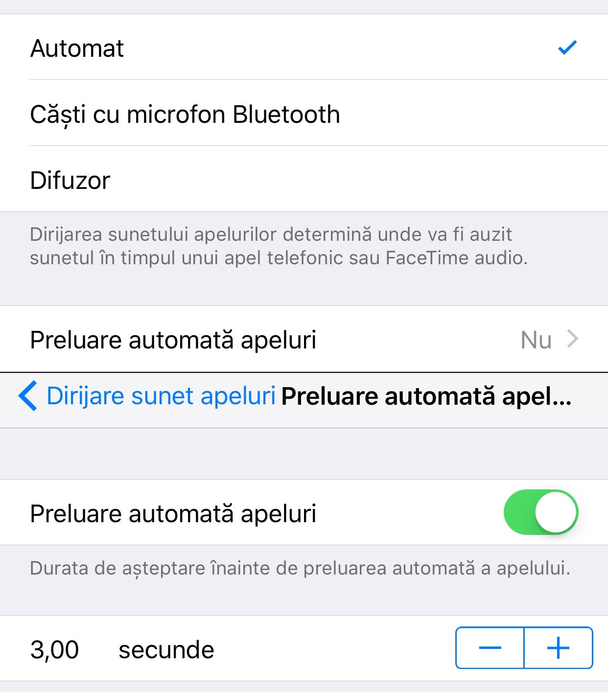 iOS 11 raspuns automat apeluri iPhone