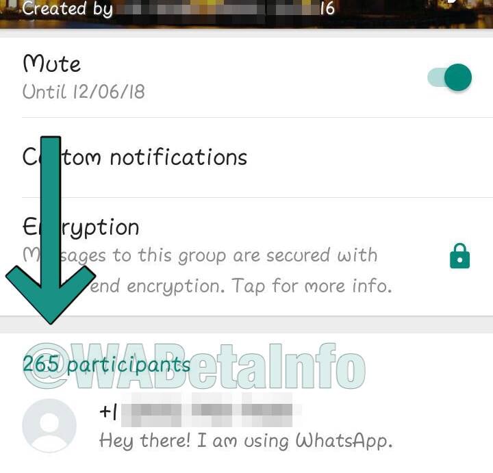 fonction cachée des groupes WhatsApp