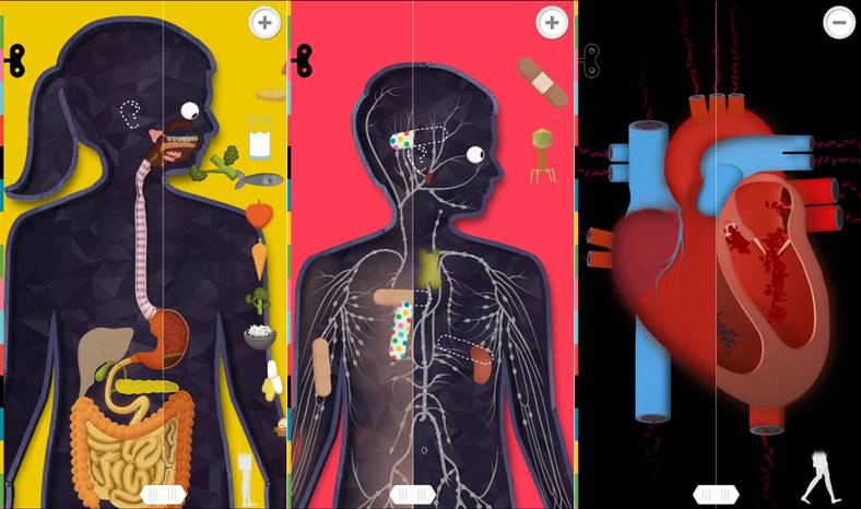 The Human Body reducere iphone