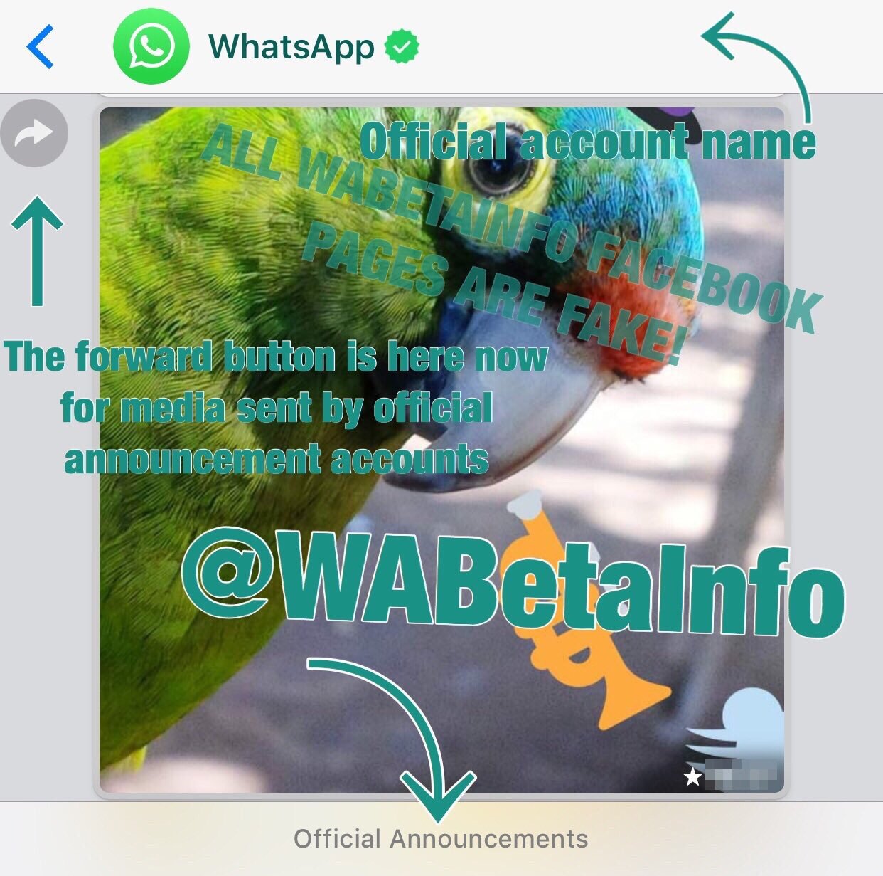 whatsapp ny applikation Android detaljer