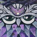 owl wallpaper ipad