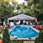 summer well 2017 festival vacanta binemeritata