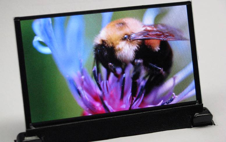 OLED popularity LCD