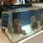 Samsung Galaxy S5 aquarium