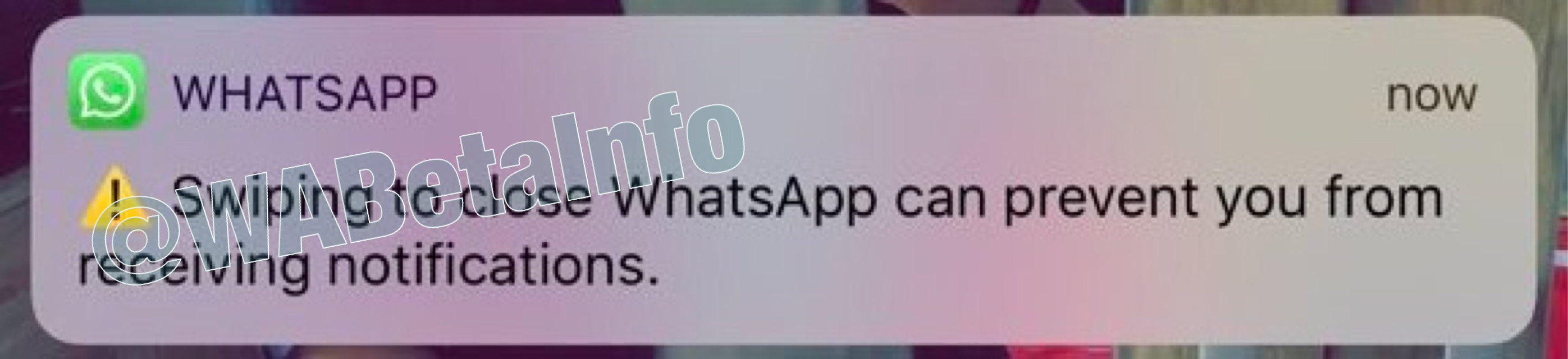 whatsapp close the application 1