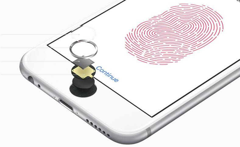 Apple Acuzata COPIAT Touch ID Companie