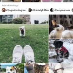 Instagram explorer le contenu d'intérêt