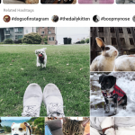 instagram onderzoek interesse-inhoud