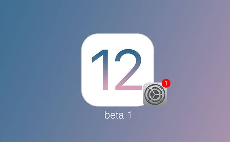 Instaleaza iOS 12 public beta 1 iPhone iPad