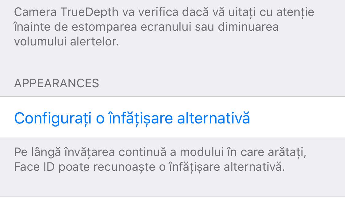 iOS 12 Face ID alternativt ansigt