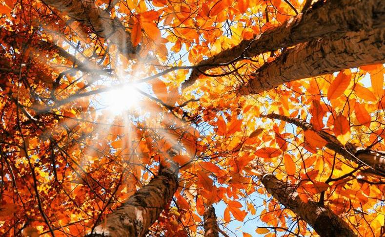 Romanian autumn equinox