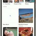 google photos live albums 1