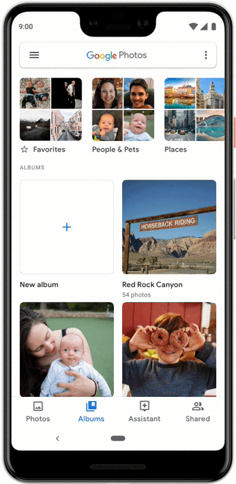 album live di google foto 1