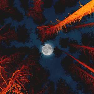 moon_full_moon_bottom_view_128515_2780x2780 | iDevice.ro