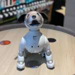 Sony Aibo cucciolo intelligente 1