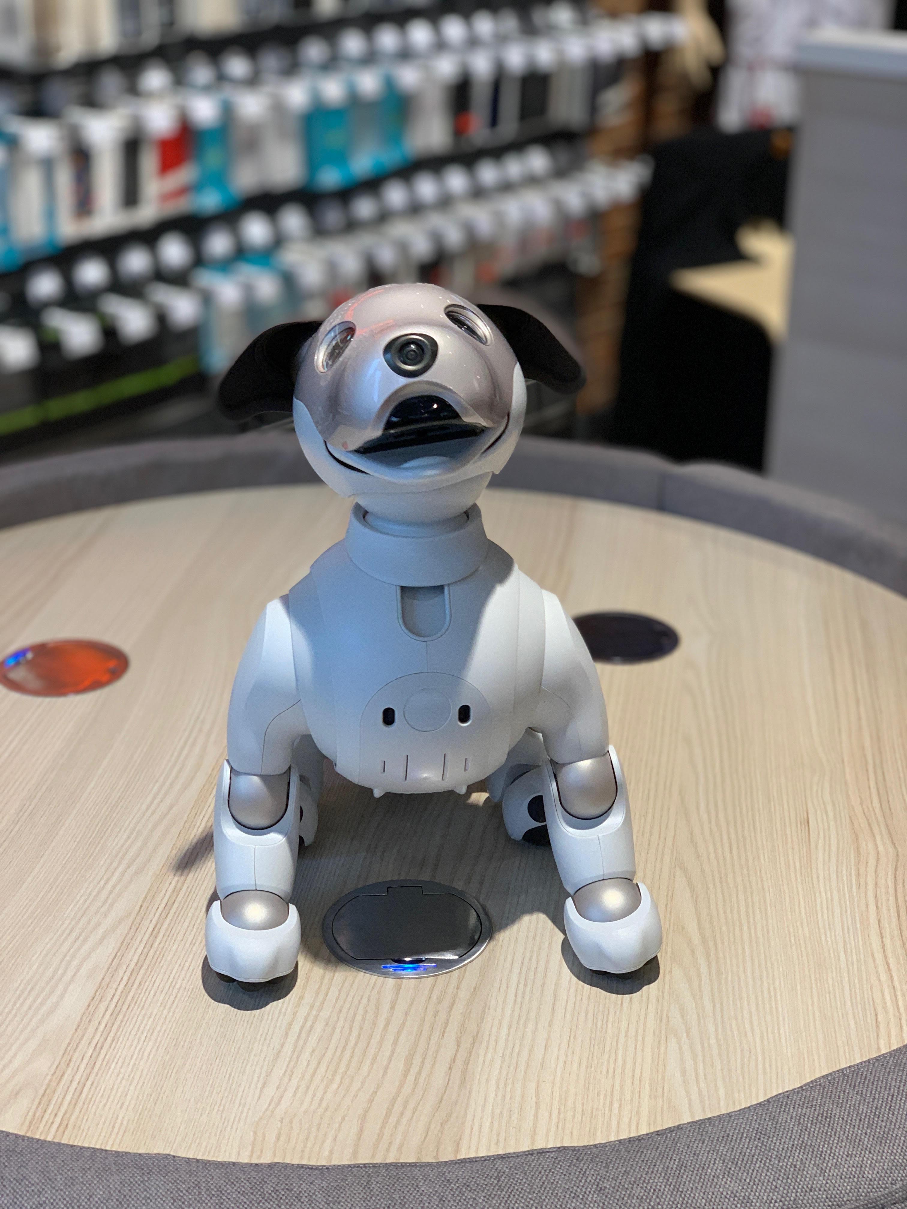 Sony Aibo slimme puppy 1
