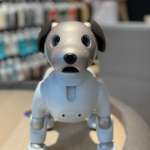 Sony Aibo catel inteligent