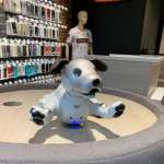 Sony Aibo smart puppy 3