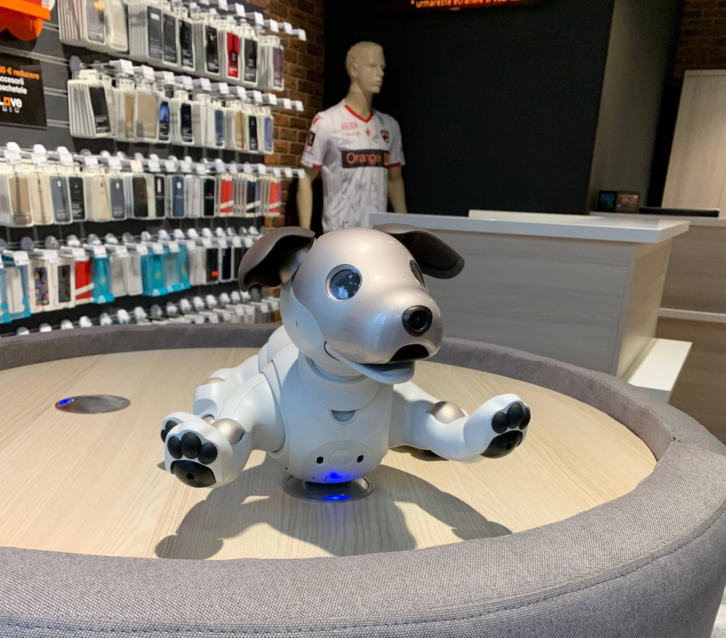 Sony Aibo slimme puppy 3