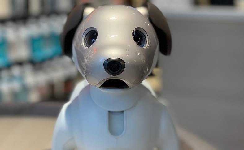 L'impresa del cucciolo intelligente Sony Aibo