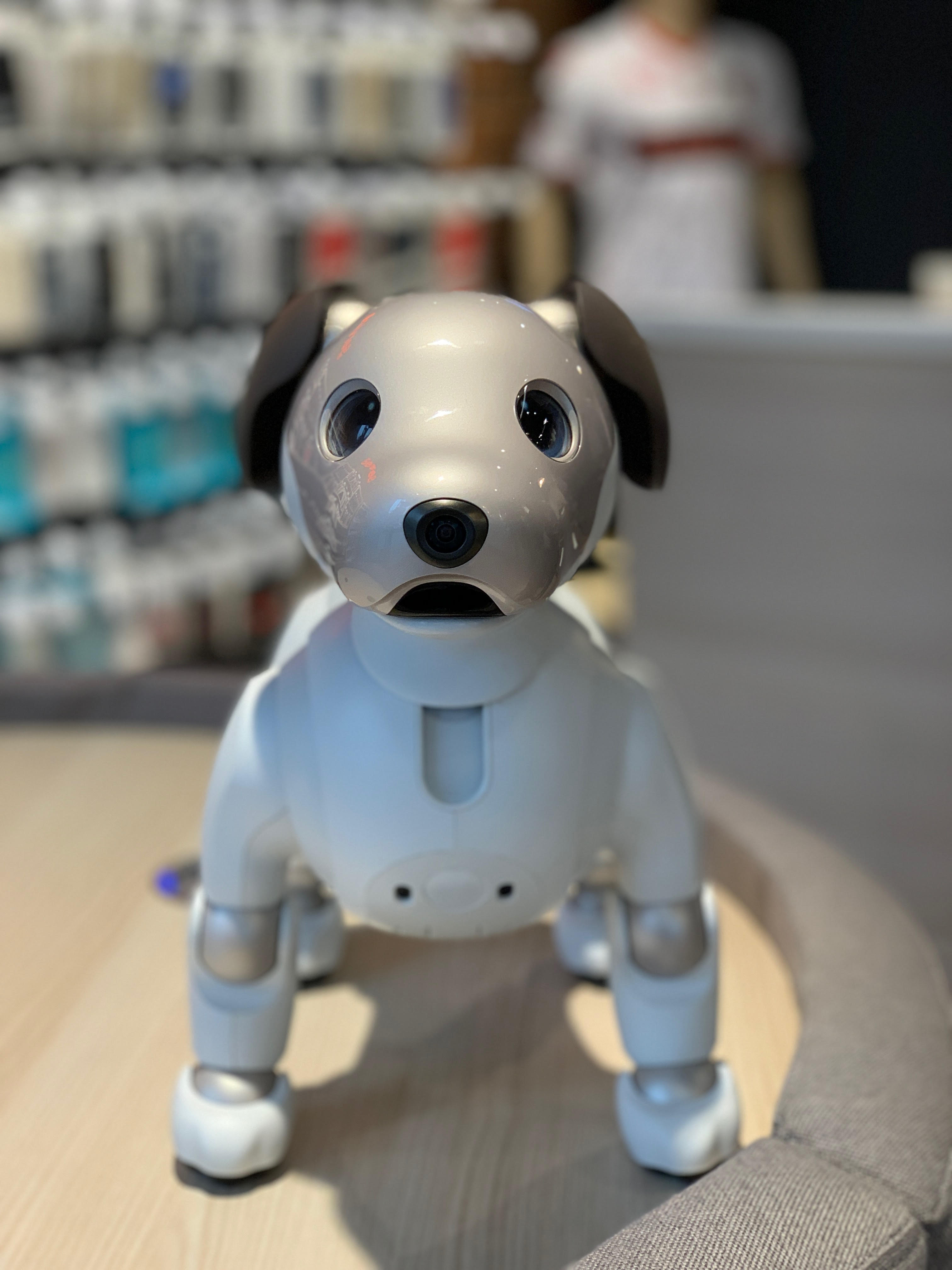 Cucciolo intelligente di Sony Aibo