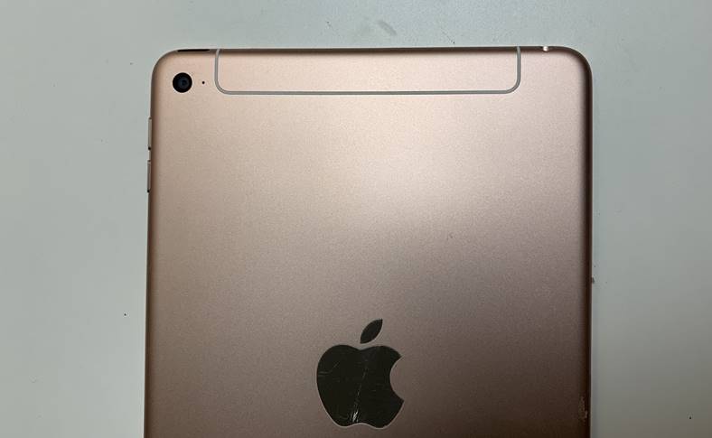 Immagini dell'iPad Mini 5