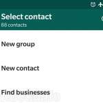 WhatsApp contact companii