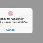 Sécurité WhatsApp iOS Android