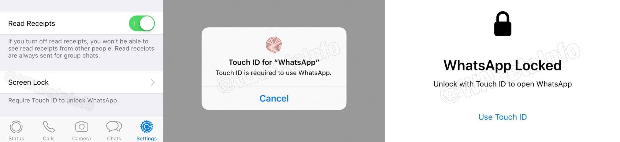 WhatsApp securitate ios android