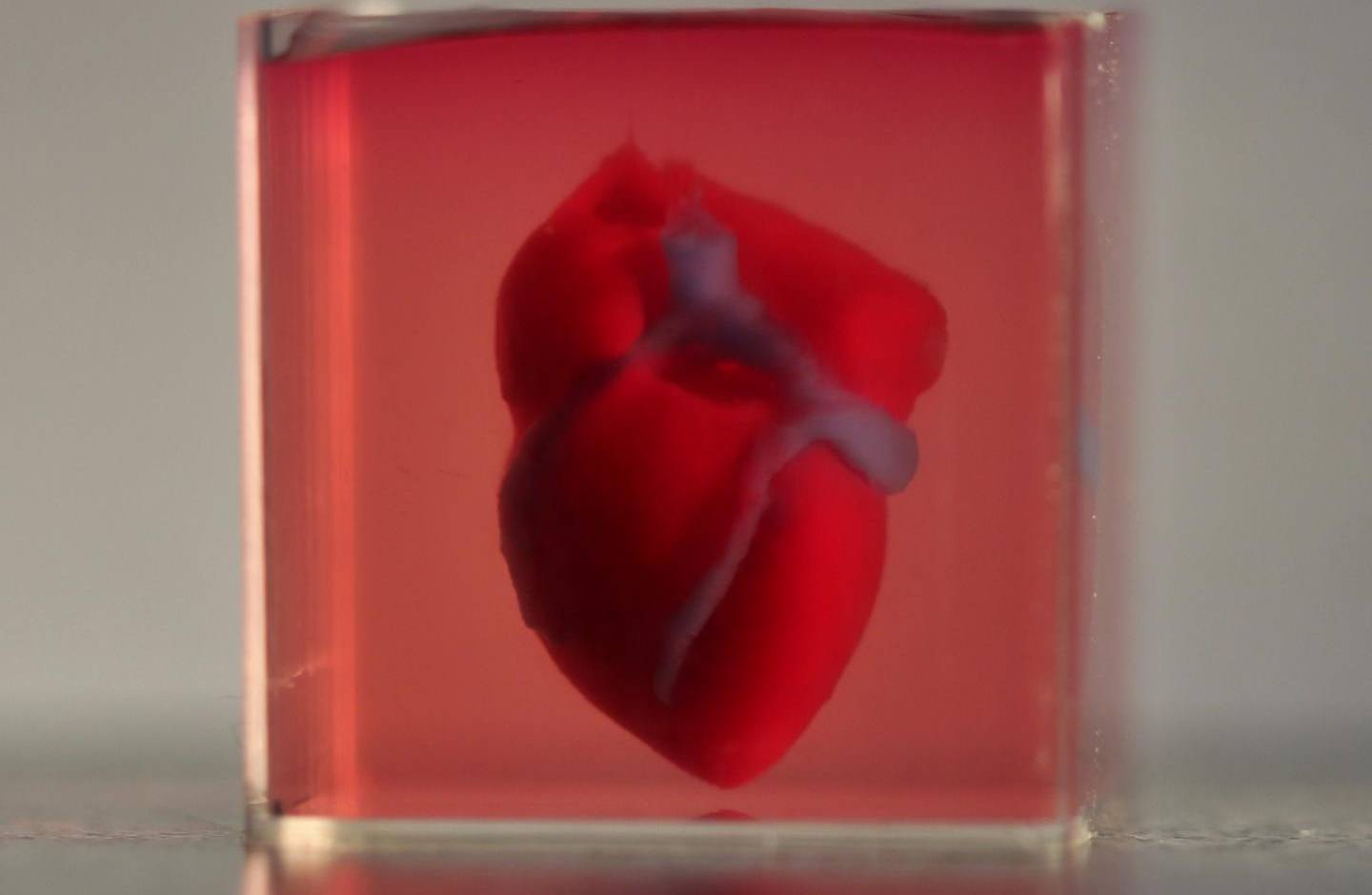 COEUR IMPRIMÉ EN 3D