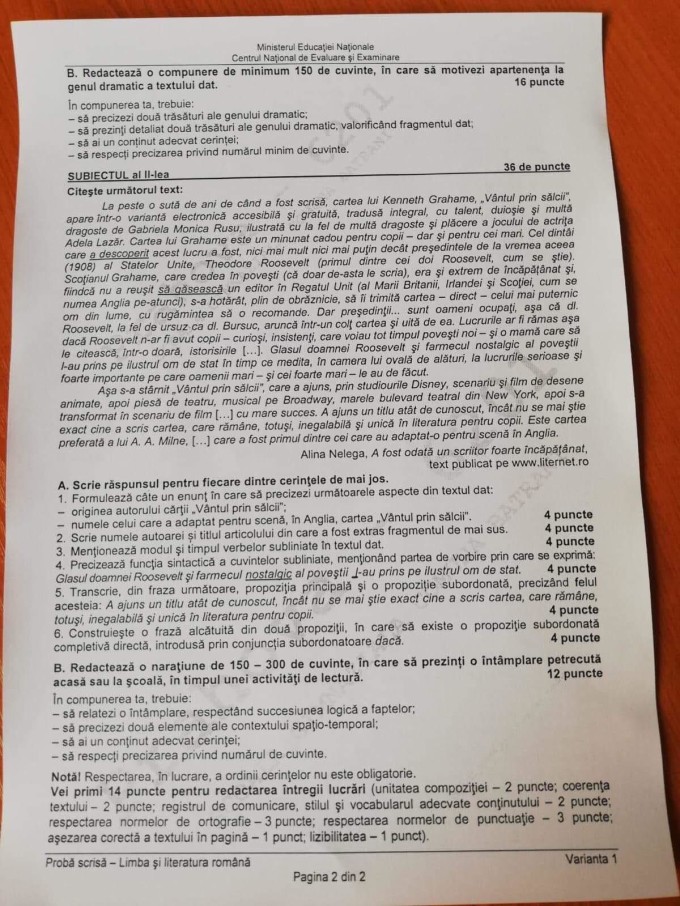 SUBIECTE EVALUARE NATIONALA 2019 varianta 1 pagina 2