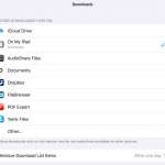 iOS 13 safari ipad download manager