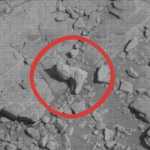 Planeten Mars. Bilden som EXPLODERADE på Internet och SCARED People robotfot