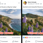 Facebook hides image likes