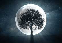 LUNA. FENOMEN RAR pe 13 Septembrie, iata CE vei VEDEA pe CER