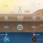 Planet Mars. Die UNGLAUBLICHE Ankündigung, dass die NASA von Oberflächengas erstaunt war