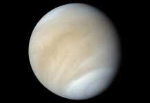 Planeta Venus. Descoperirea SURPRIZA care a ULUIT pana si NASA