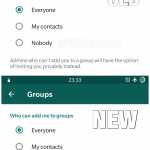 Options de discussion des groupes WhatsApp