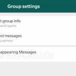 WhatsApp mesaje autodistrug activare