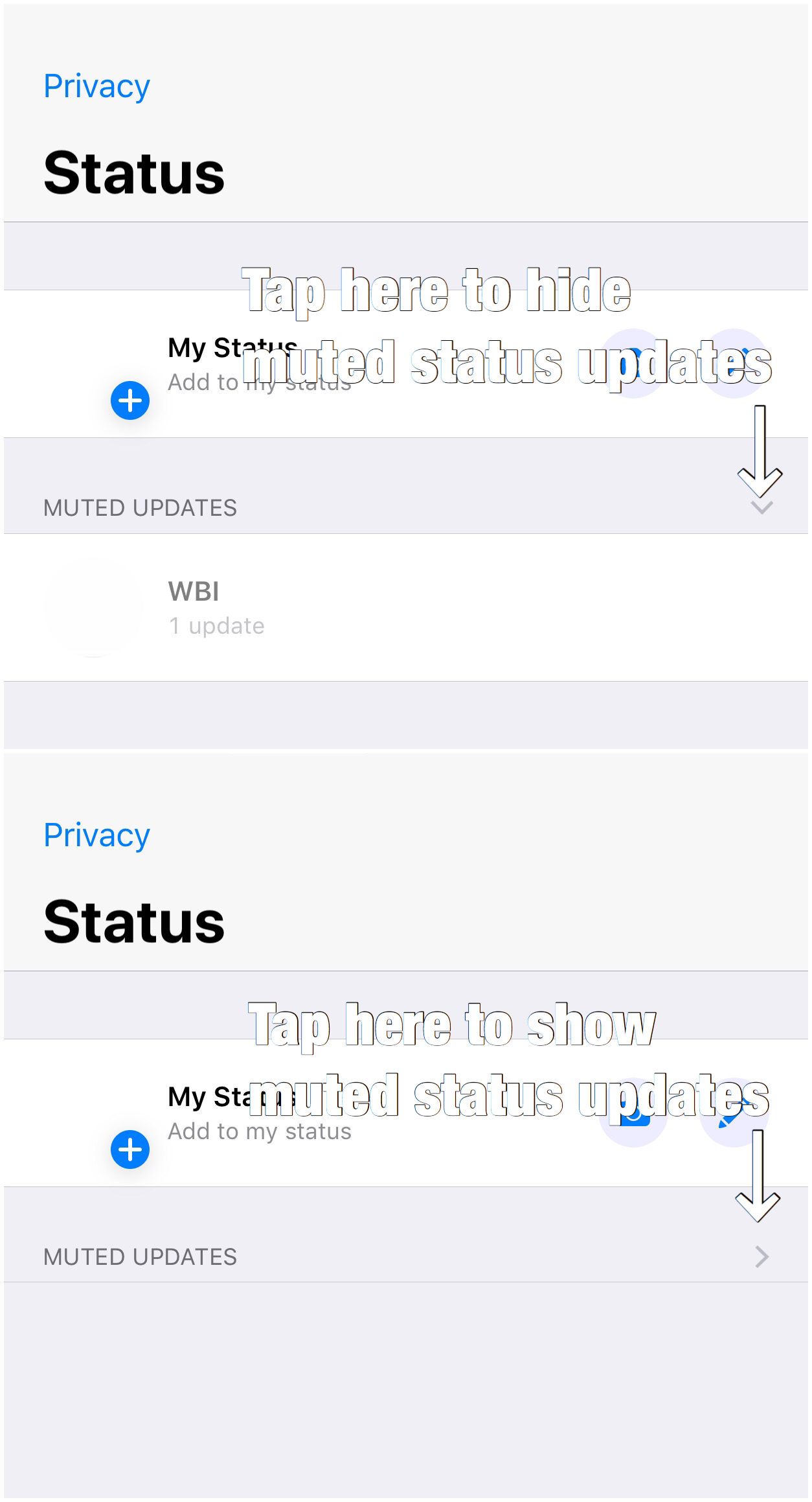 WhatsApp noutati telefoane status mut