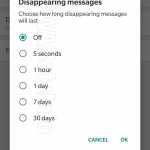 Opzioni di autodistruzione dei messaggi dei telefoni a sorpresa di WhatsApp