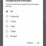 WhatsApp surpriza telefoane mesaje autodistrug optiuni